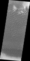 This image captured by NASA's 2001 Mars Odyssey spacecraft shows part of the dune field on the floor of Rabe Crater.
