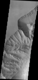 This image captured by NASA's 2001 Mars Odyssey spacecraft shows a portion of the western margin of Ophir Chasma. Layering can be seen in the upper walls of the canyon.