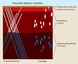 Unfrozen brine in cryopegs and fracture networks provides habitats for the survival and growth of organisms both within and under frozen rocky materials on Earth and, by analogy, could provide habitats on Mars.