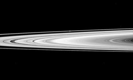 NASA's Cassini spacecraft looks across Saturn's rings and finds the moon Prometheus, a shepherd of the thin F ring. Prometheus looks like a small white bulge near the F ring -- the outermost ring seen here -- above the center of the image.