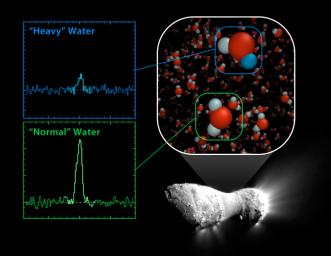 Using NASA's Herschel Space Observatory, astronomers have discovered that comet Hartley 2 possesses a ratio of 'heavy water' to light, or normal, water that matches what's found in Earth's oceans.