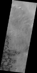 Small dunes are located on the floor of Darwin Crater as shown in this image from NASA's 2001 Mars Odyssey spacecraft.