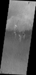 The small dune forms seen in this image by NASA's 2001 Mars Odyssey spacecraft are located on the floor of Briault Crater.