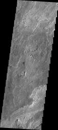 This image from NASA's 2001 Mars Odyssey spacecraft shows a small portion of Daedalia Planum, which is comprised of lava flows from Arsia Mons. Note the small channel in the image. This channel was likely created by lava rather than water flow.