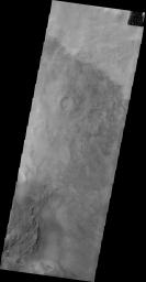 This image captured by NASA's 2001 Mars Odyssey spacecraft shows some of the dunes on the floor of Darwin Crater.