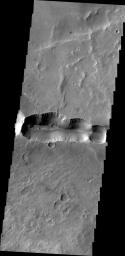 This image captured by NASA's 2001 Mars Odyssey spacecraft shows a scallop-edged depression, called Coprates Catena, parallels the main alignment of Vallis Marineris.