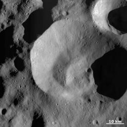 This image from NASA's Dawn spacecraft is dominated by Caparronia impact crater, approximately 55 km in diameter with a mostly fresh, irregularly shaped rim. It also has a curved, linear mound running across most of its base.