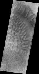 This image from NASA's 2001 Mars Odyssey spacecraft shows part of the large sand sheet and dune forms on the floor of Russell Crater.