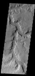 This image from NASA's 2001 Mars Odyssey spacecraft shows a portion of Naktong Vallis in Terra Sabaea.
