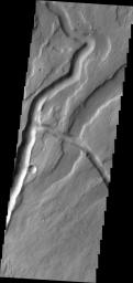 The channels in this image from NASA's 2001 Mars Odyssey spacecraft are part of Tyrrhena Fossae on the northern flank of Tyrrhenus Mons.