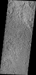 The unusual surface texture seen in the image from NASA's 2001 Mars Odyssey spacecraft reflects the resistance of the surface rocks to erosion by the wind. This image shows part of the northern end of Gordii Dorsum.