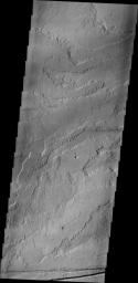 This image from NASA's 2001 Mars Odyssey spacecraft shows a small portion of the vast lava flow fields between Echus Chasma and the main Tharsis volcanoes.