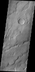 This image captured by NASA's 2001 Mars Odyssey spacecraft shows a small portion of the volcanic flows in the Tharsis region.