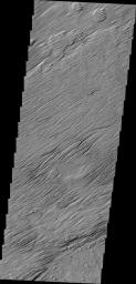 The wind eroded surface in this image from NASA's 2001 Mars Odyssey spacecraft is located in Zephyria Planum.