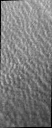 As northern spring progresses, clouds continue to cover large portions of the north polar region. This image captured by NASA's 2001 Mars Odyssey spacecraft.