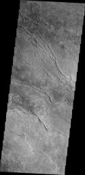 The channels in this image captured by NASA's 2001 Mars Odyssey spacecraft dissect the far western flank of the Elysium Mons highland.