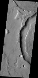 The channels in this image are part of a multitude of channels that dissect the eastern flank of Tempe Terra on Mars as seen by NASA's Mars Odyssey spacecraft.