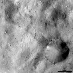 This image of asteroid Vesta from NASA's Dawn spacecraft shows a large crater with an irregularly shaped, reasonable sharp, fresh rim.