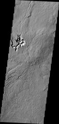 Arcuate fractures are a common feature in this region south of Avernus Colles. This image is from NASA's 2001 Mars Odyssey spacecraft.