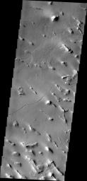 Isolated hills and a small channel are visible in this image of Gigas Sulci captured by NASA's 2001 Mars Odyssey spacecraft . Gigas Sulci is located southeast of Olympus Mons.
