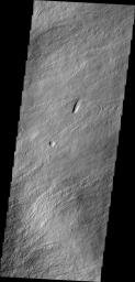 The narrow volcanic flows in this image captured by NASA's 2001 Mars Odyssey spacecraft are located on the northeastern flank of Olympus Mons.