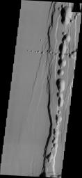 Tractus Catena is a series of collapse pits and fractures south of Alba Mons as seen in this image from NASA's 2001 Mars Odyssey spacecraft. The collapse pits, which run in two directions in this image, are typically indicative of volcanic lava tubes.
