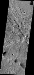 This image from NASA's 2001 Mars Odyssey spacecraft shows two directions of wind erosion southwest of Olympus Mons and south of Elysium Mons.