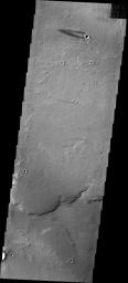 The windstreak in this image from NASA's 2001 Mars Odyssey spacecraft is located on the northwestern plains of Daedalia Planum.