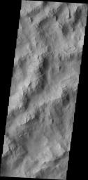 Dark slope streaks are common throughout the ridges that comprise Lycus Sulci in this image captured by NASA's 2001 Mars Odyssey spacecraft.