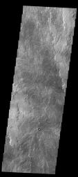 This image captured by NASA's 2001 Mars Odyssey spacecraft shows a small portion of Daedalia Planum, which is mainly comprised of lava flows related to Arsia Mons.