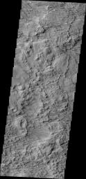 This image from NASA's 2001 Mars Odyssey spacecraft shows a wind eroded surface located between the lava flows of Olympus Mons and the wind eroded ridge called Gordii Dorsum.