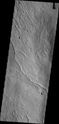 The channels in this image are located on the northwestern flank of Alba Mons on Mars as seen by NASA's Mars Odyssey spacecraft. They are likely lava channels rather than water carved channels.