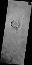 The dark surface markings in this image from NASA's Mars Odyssey spacecraft are dust devil tracks. These tracks are located in Utopia Planitia on Mars.