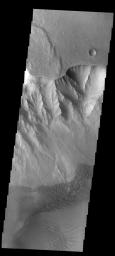 This image captured by NASA's 2001 Mars Odyssey spacecraft shows the western margin of Juventae Chasma and the dunes that occur at the base of the chasma cliff.