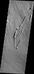 This image from NASA's 2001 Mars Odyssey spacecraft shows the southern margin of Pavonis Mons.