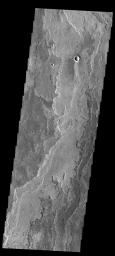 This image captured by NASA's 2001 Mars Odyssey spacecraft shows more of the extensive lava flows in Daedalia Planum.