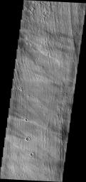 The parallel ridges in this image captured by NASA's Mars Odyssey spacecraft are part of Arsia Sulci - a region west of Arsia Mons. How these features were formed is unknown.