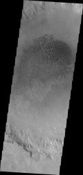 This image captured by NASA's 2001 Mars Odyssey spacecraft shows a field of dunes on the floor of an unnamed crater in Terra Cimmeria.