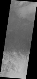 This image captured by NASA's 2001 Mars Odyssey spacecraft shows dunes in a topographic low within Aonia Terra.