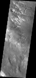 A network of small channels is visible in image from NASA's 2001 Mars Odyssey spacecraft.