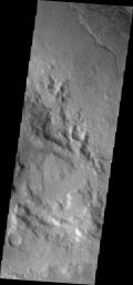 The small channel in this image from NASA's 2001 Mars Odyssey spacecraft is located on the floor of Newton Crater.