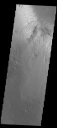 This image captured by NASA's 2001 Mars Odyssey spacecraft shows a landslide deposit in Ganges Chasma.