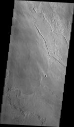 The channels in this image from NASA's 2001 Mars Odyssey spacecraft were created by the flow of lava rather than water. These lava channels are near the northeast flank of Olympus Mons.