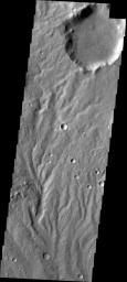 The channels in this image captured by NASA's 2001 Mars Odyssey spacecraft are dissecting a slope near Huygens Crater.