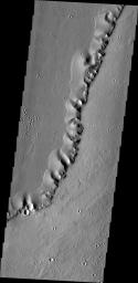 This image from NASA's 2001 Mars Odyssey spacecraft of a ridge in the Tharsis region (called Uranius Dorsum) reminds one of a skeletal spine.