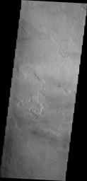Lava channels east of Olympus Mons as seen by NASA's 2001 Mars Odyssey spacecraft.