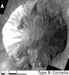 This image shows a close-up of long, narrow, sinuous gullies that scientists on NASA's Dawn mission have found on the giant asteroid Vesta. The crater shown here is called Cornelia.