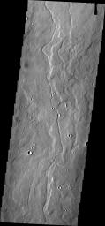 The channels in this image from NASA's 2001 Mars Odyssey spacecraft are located on the southern margin of the Elysium Volcanic region.