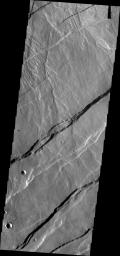 The fractures in this image are part of the large fracture system that surrounds Alba Mons as seen by NASA's 2001 Mars Odyssey spacecraft.