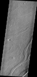 This image from NASA's 2001 Mars Odyssey spacecraft shows the Tharsis plains contains numerous channels, which were likely created by the flow of lava.